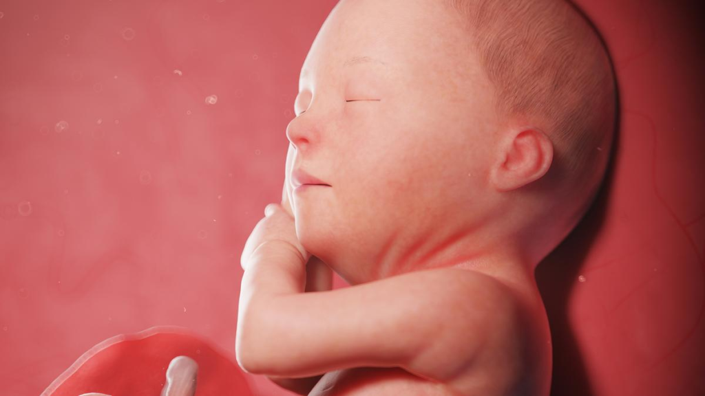 Week 33 of Pregnancy